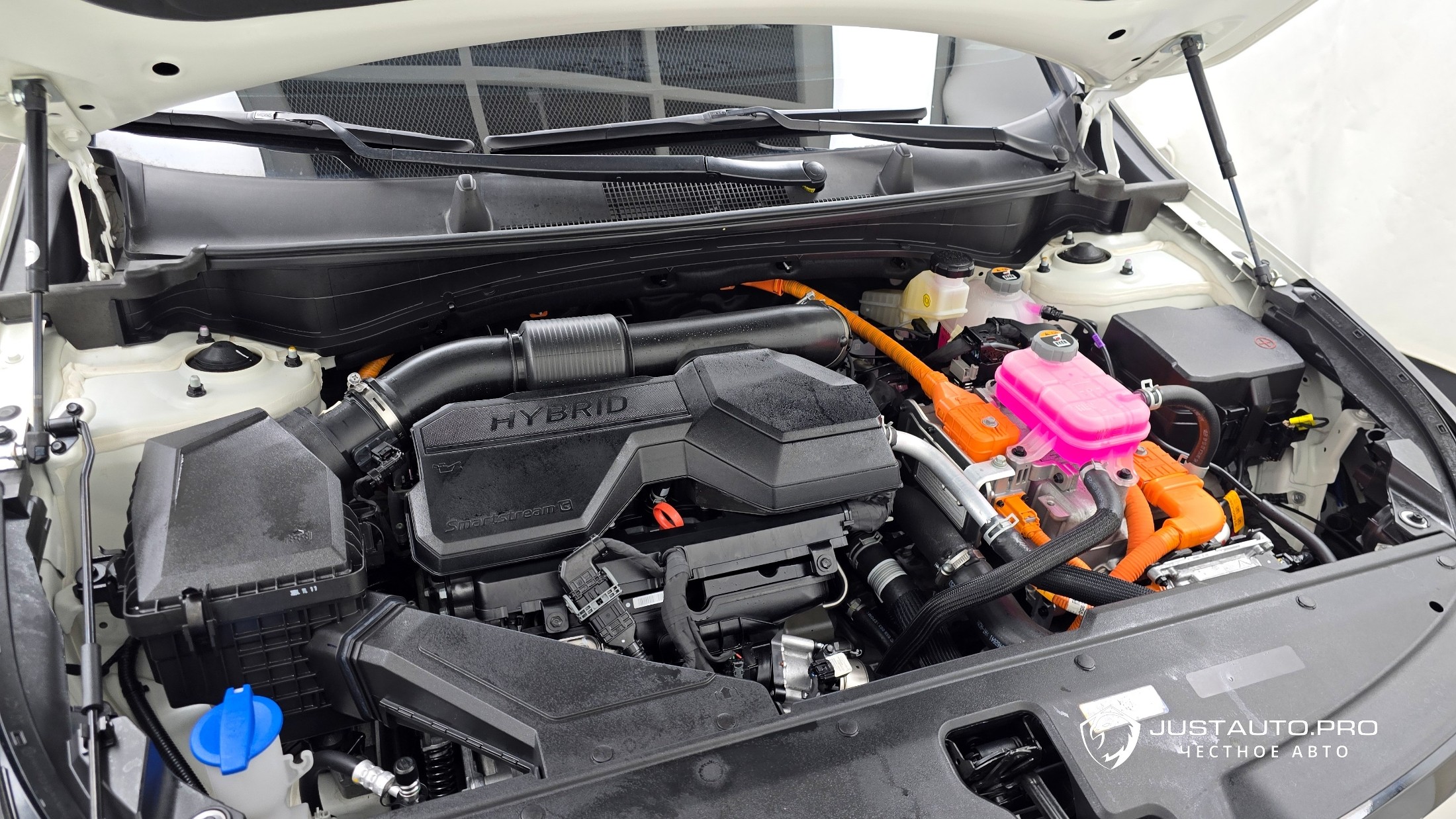 Фото 6