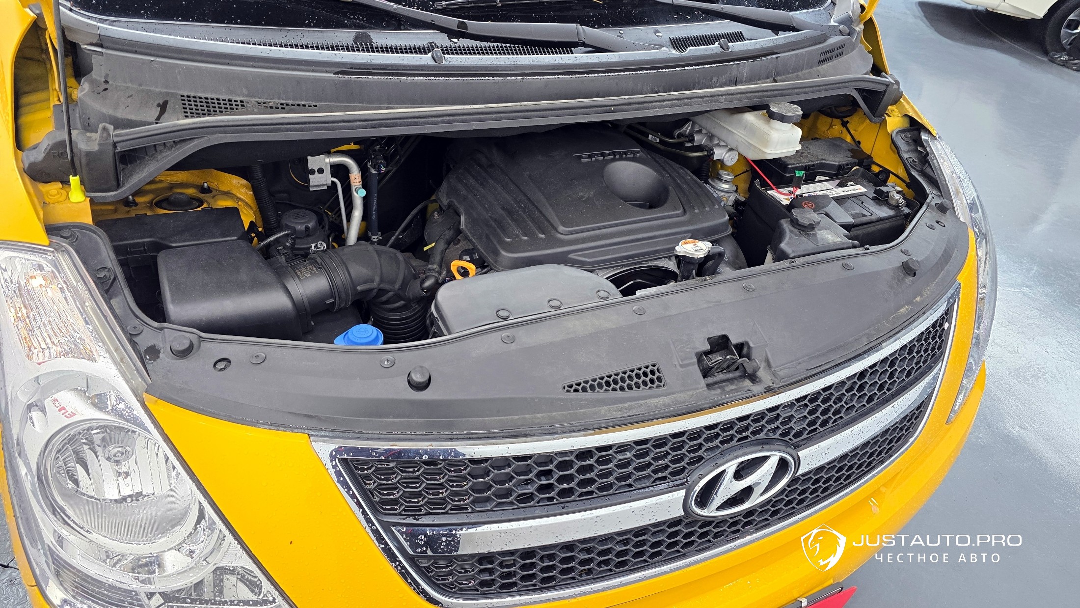 Фото 6