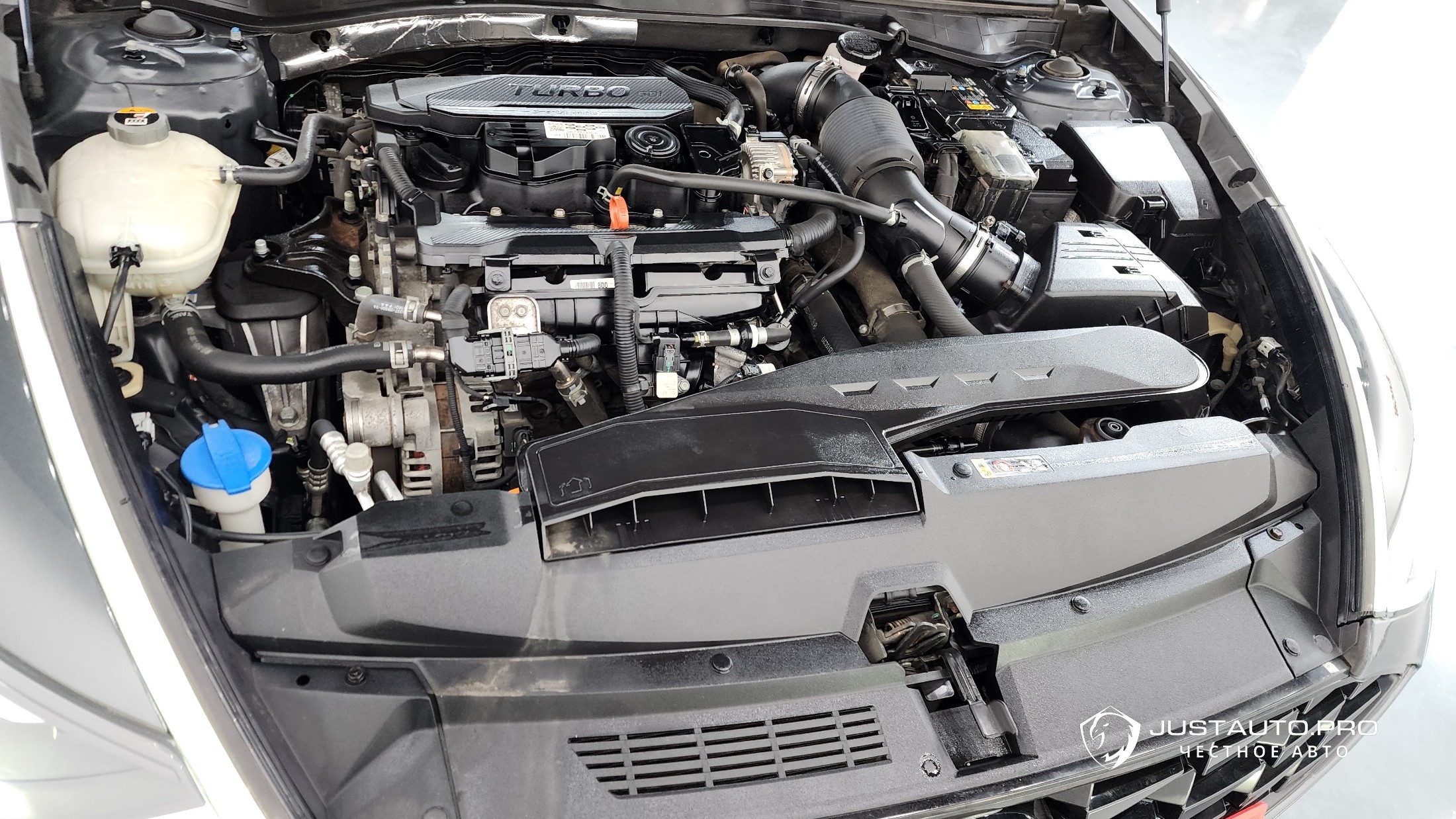 Фото 6