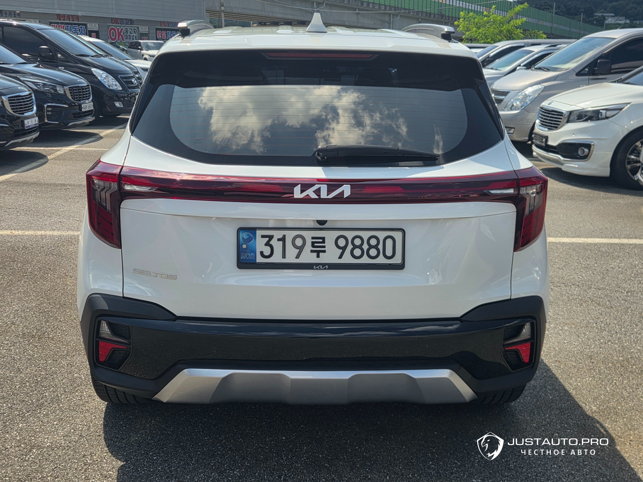 Фото 4