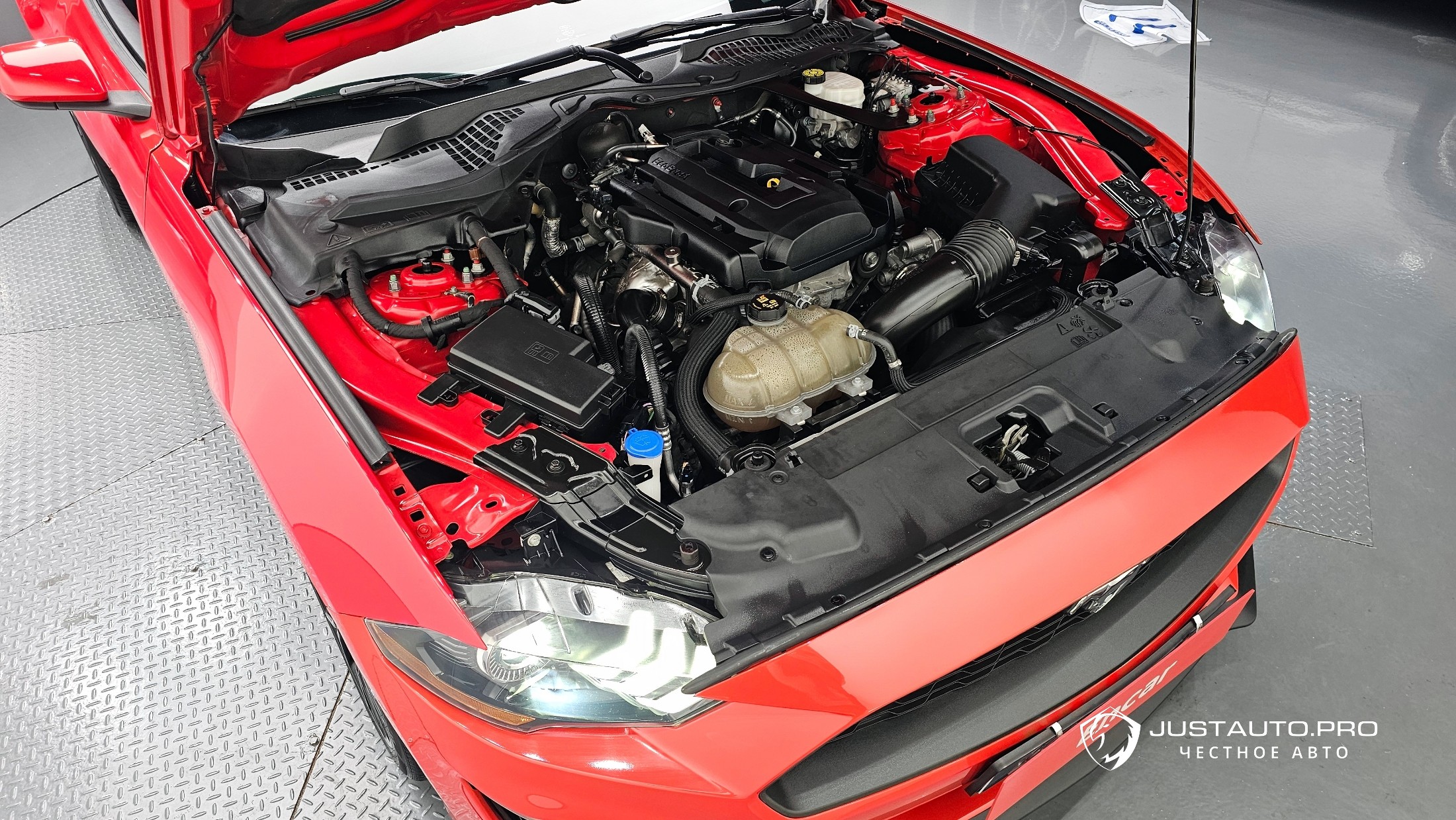 Фото 6