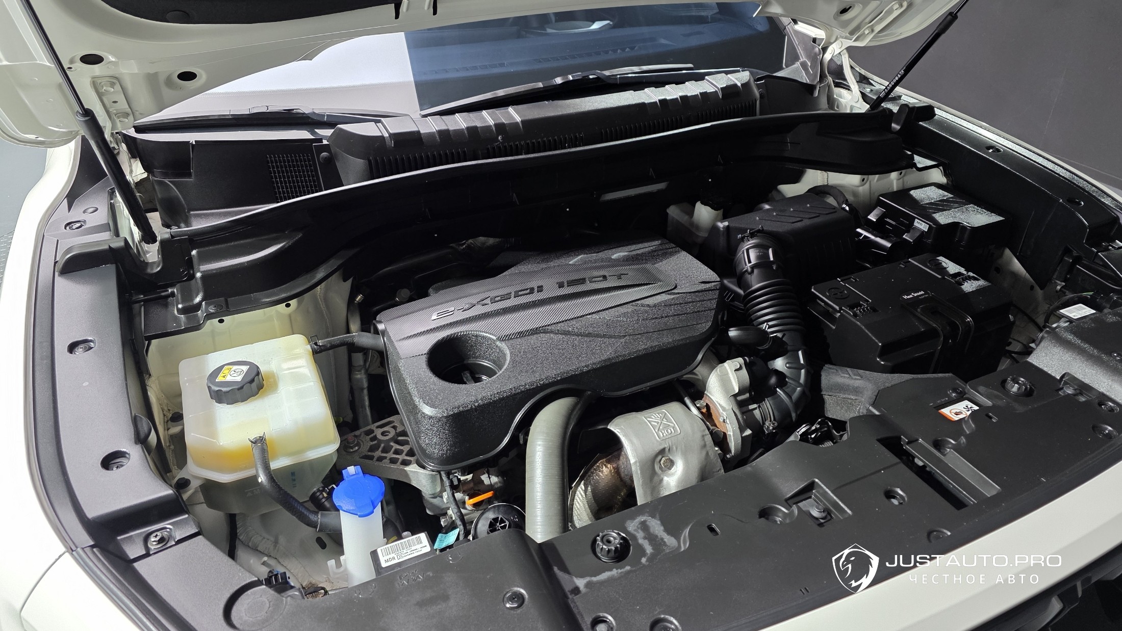 Фото 6