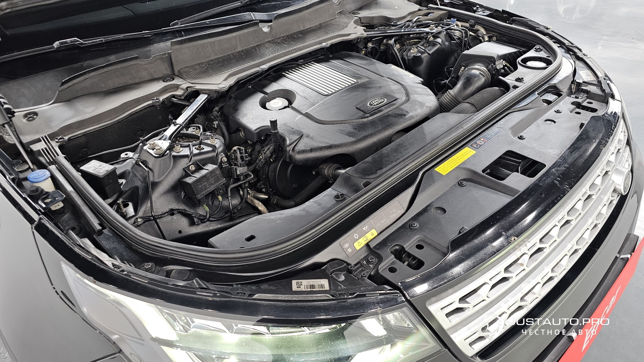 Фото 6