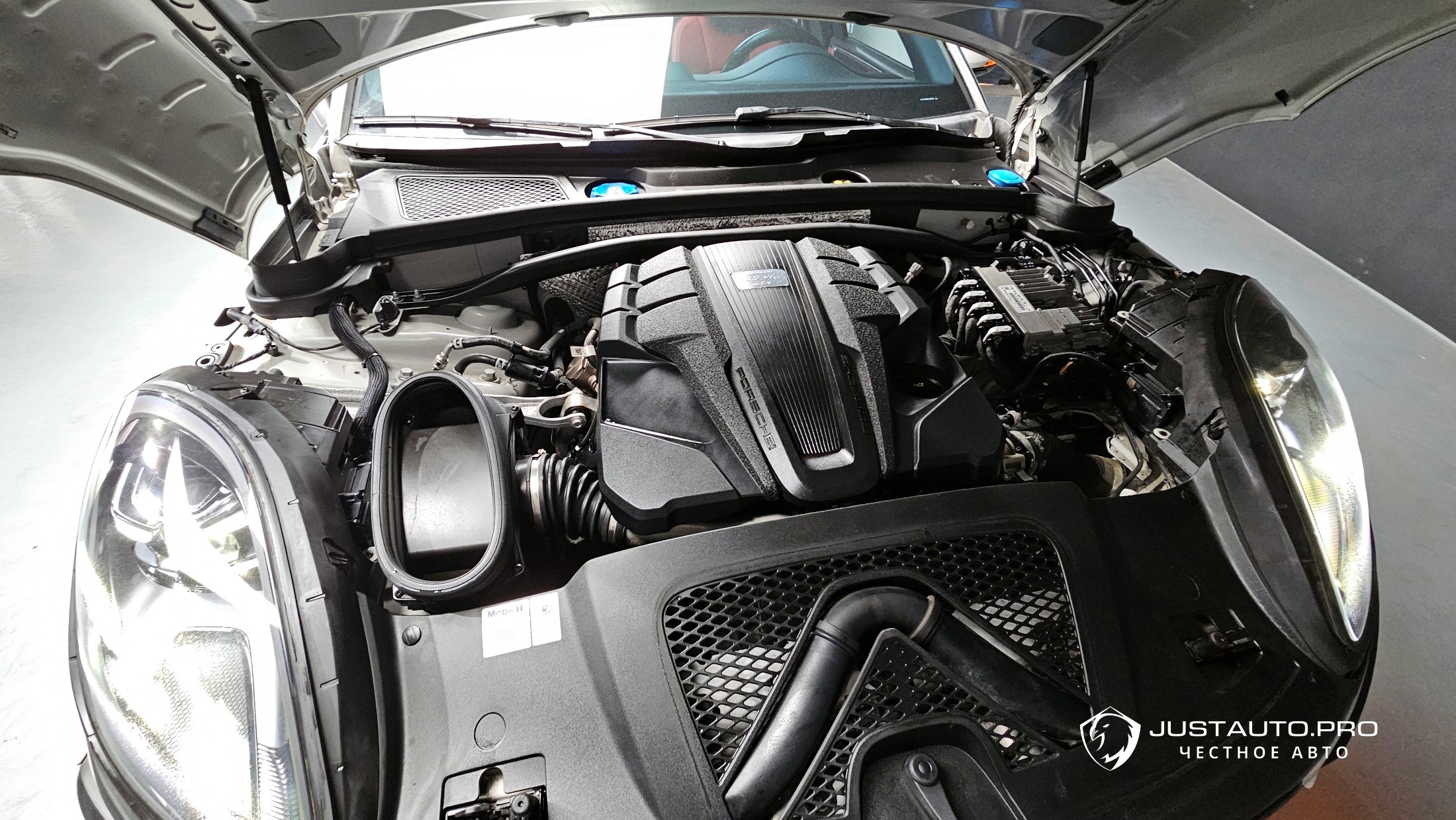Фото 6