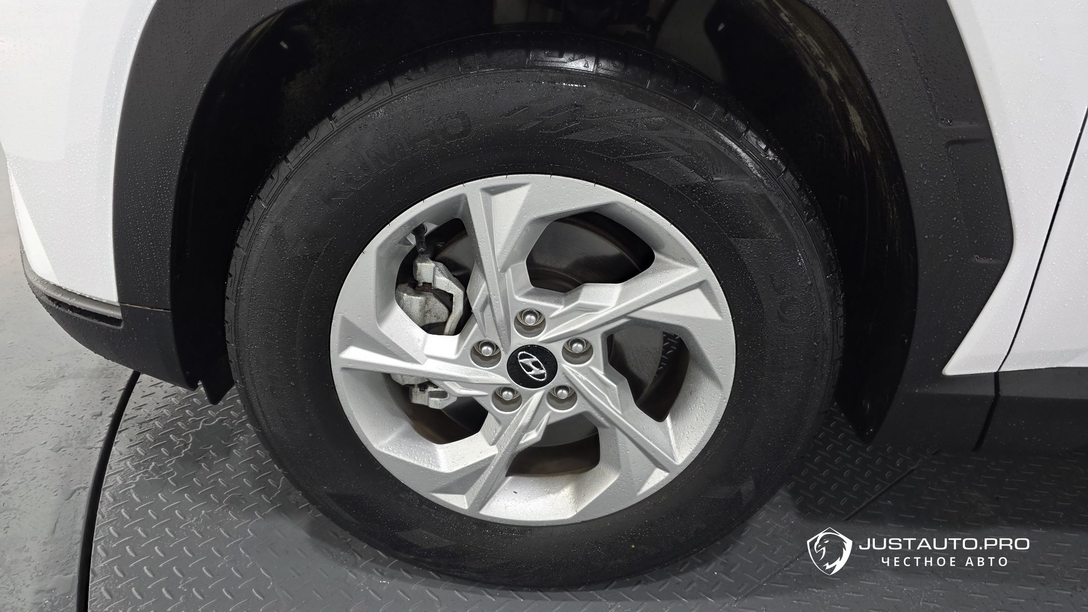 Фото 5