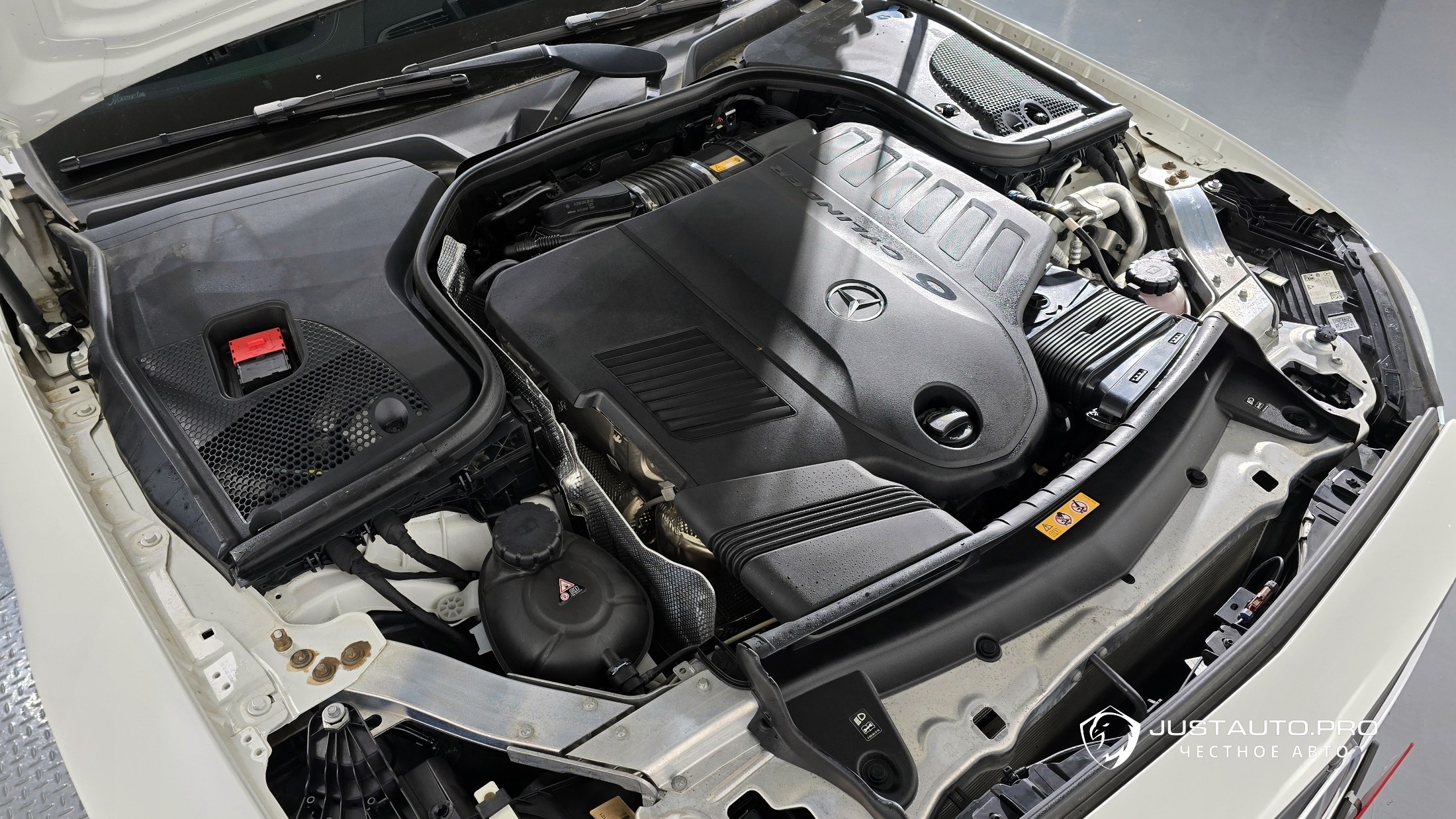 Фото 6