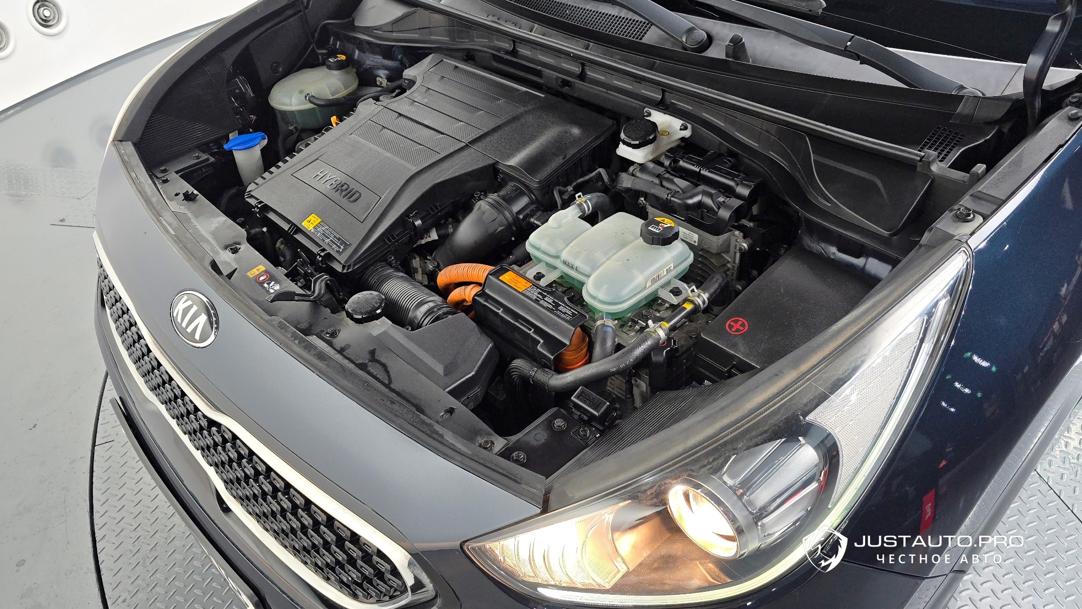 Фото 6