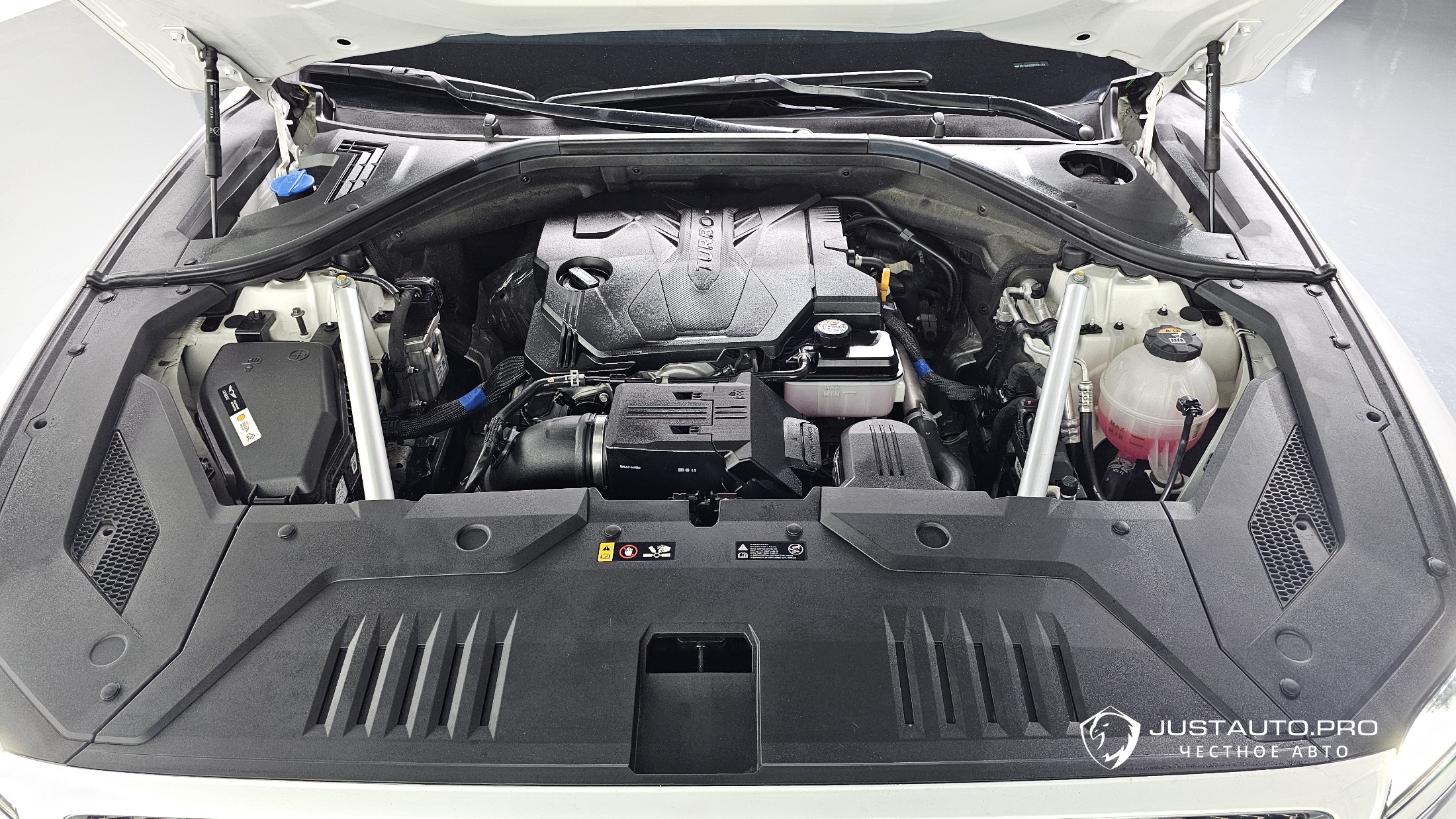 Фото 5