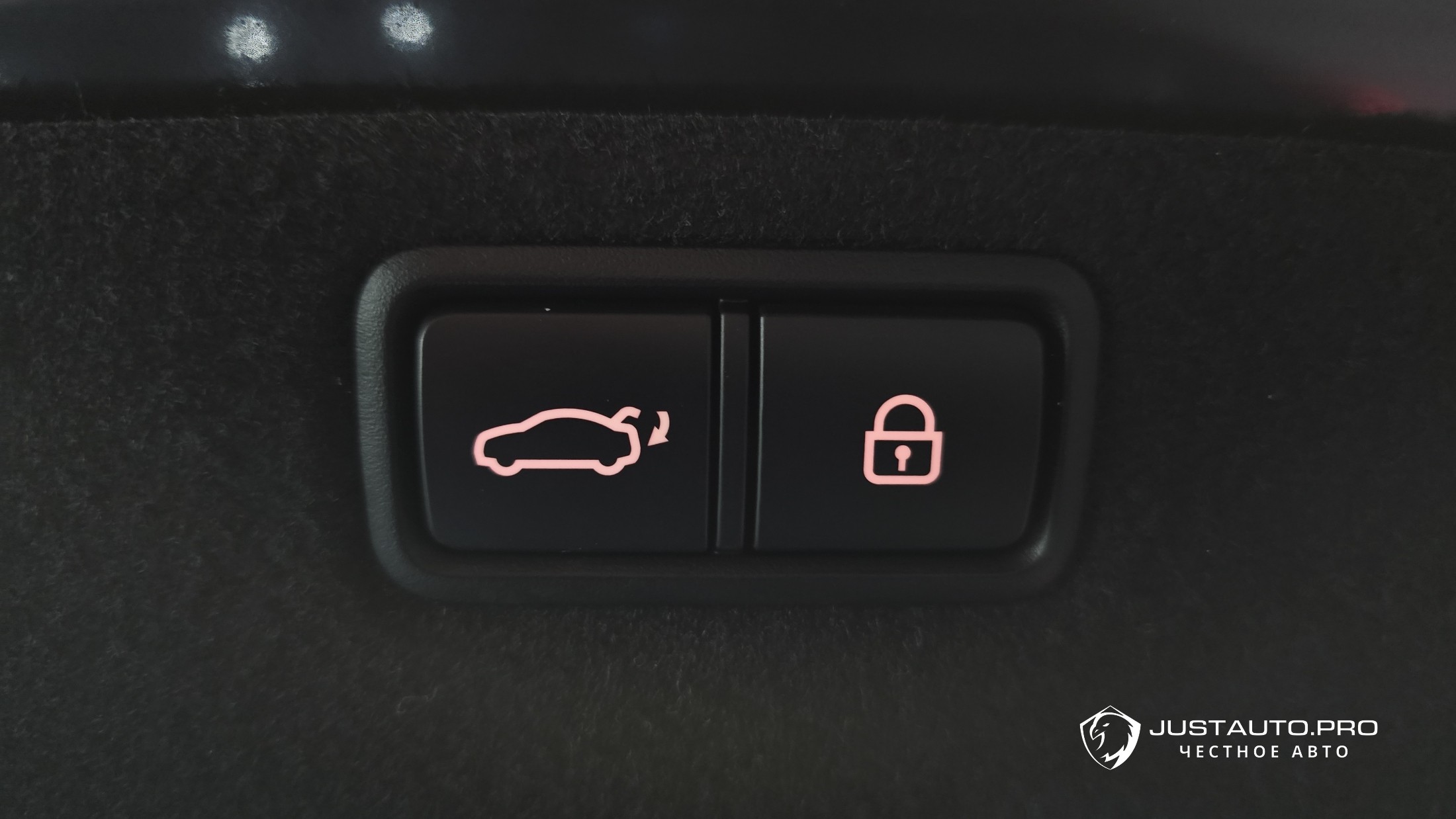 Фото 19