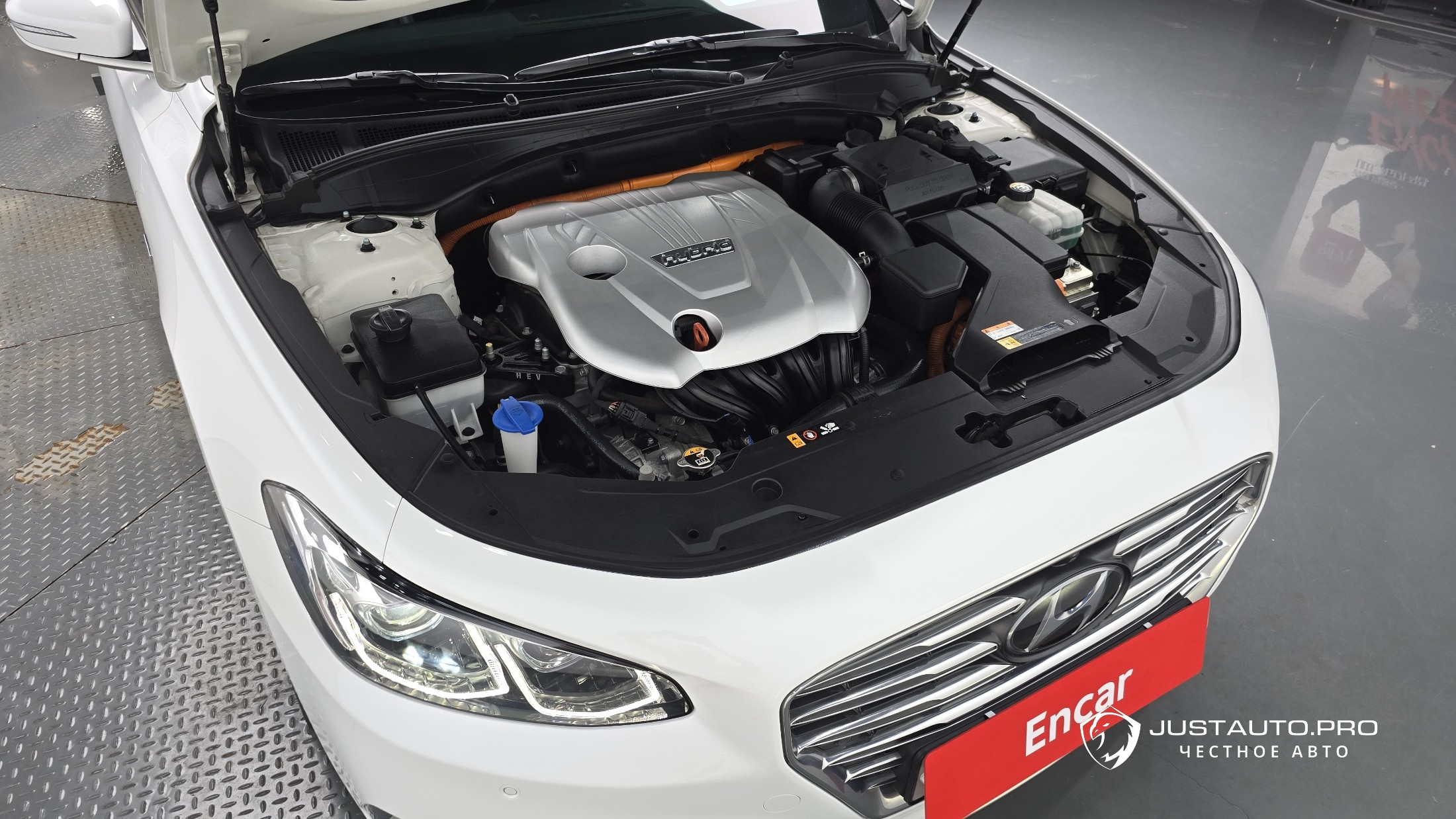 Фото 5