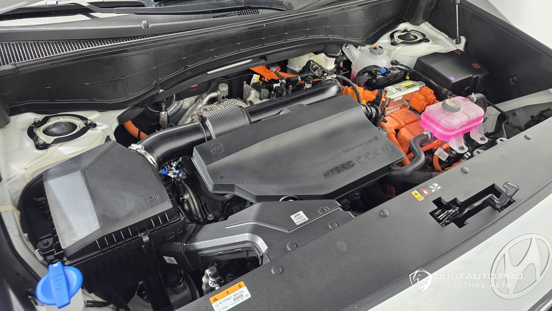 Фото 6