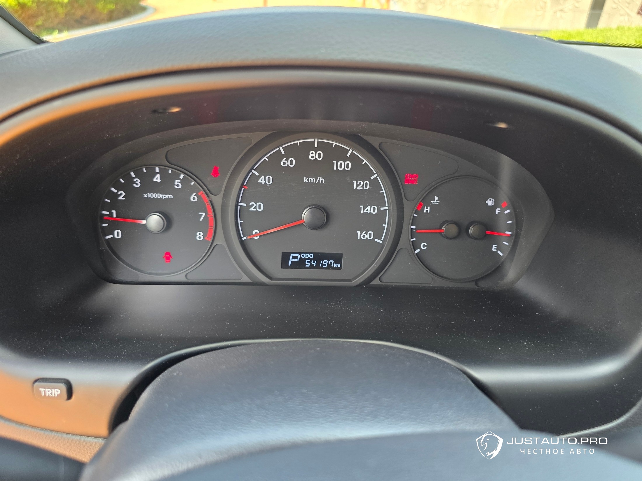 Фото 12
