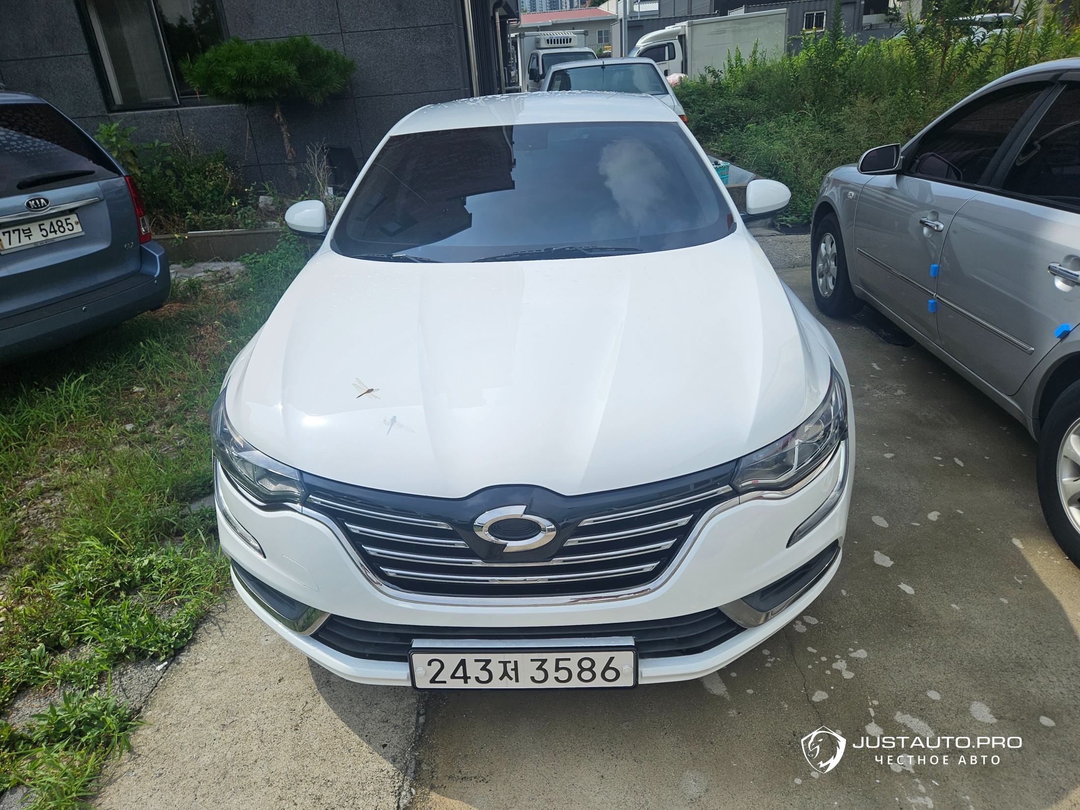 Автомобиль Renault-KoreaSamsung SM6