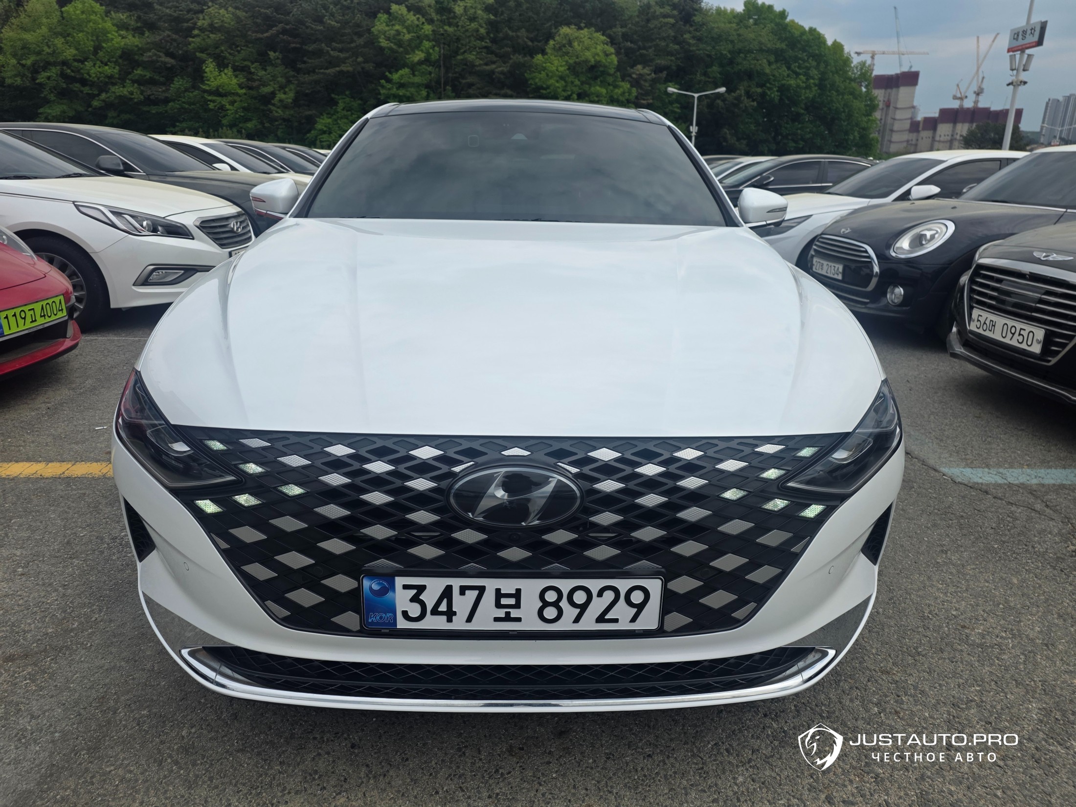 Фото 3