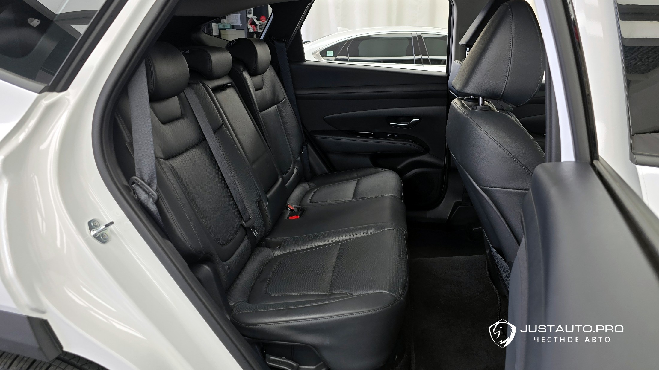 Фото 11