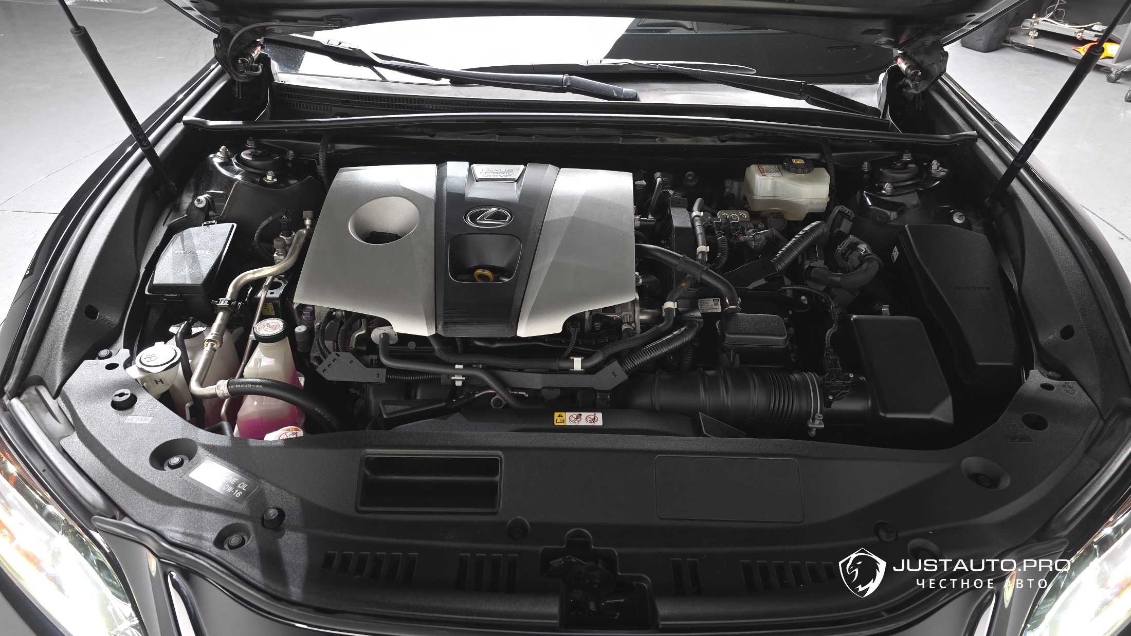 Фото 5