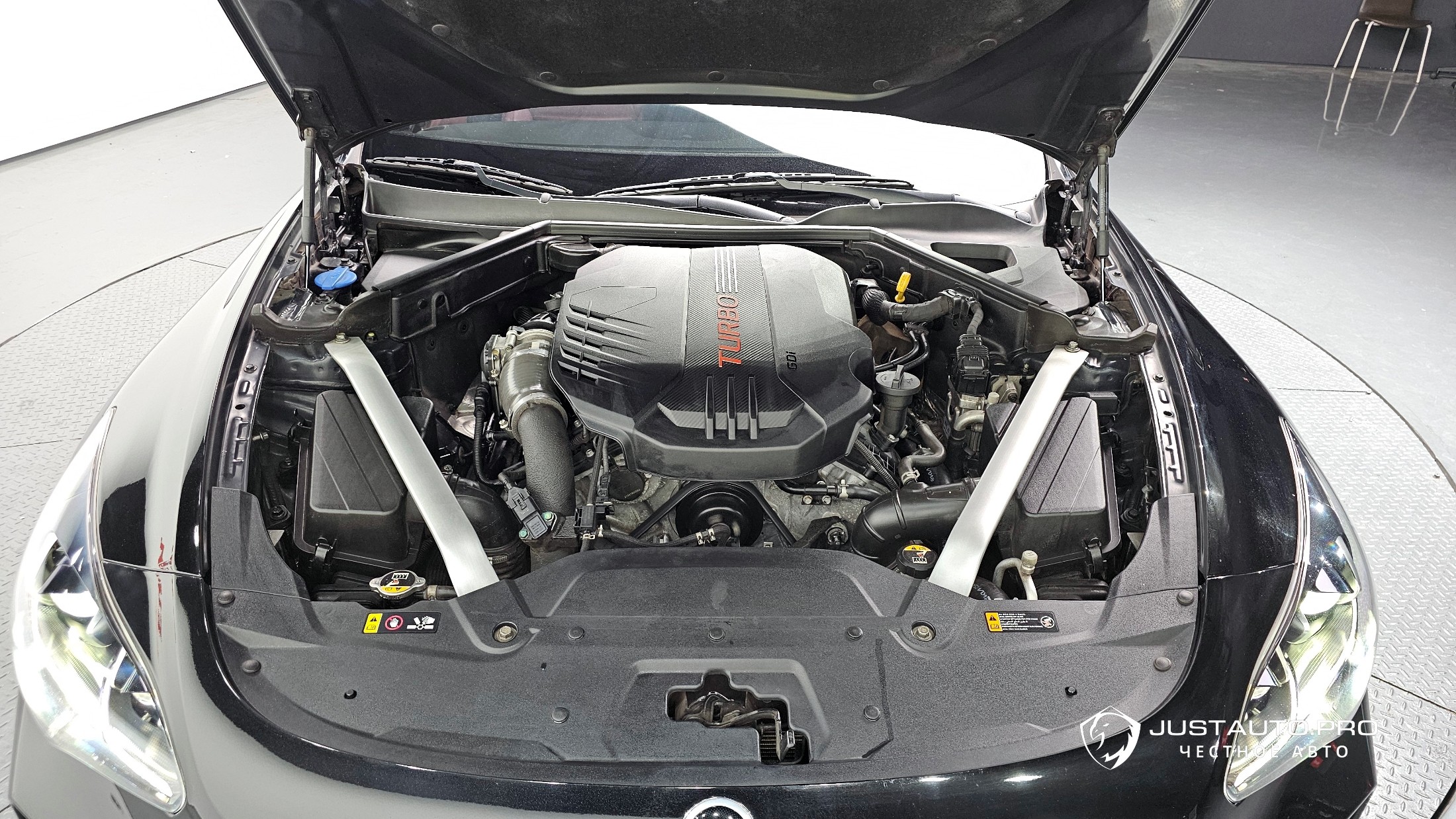 Фото 5