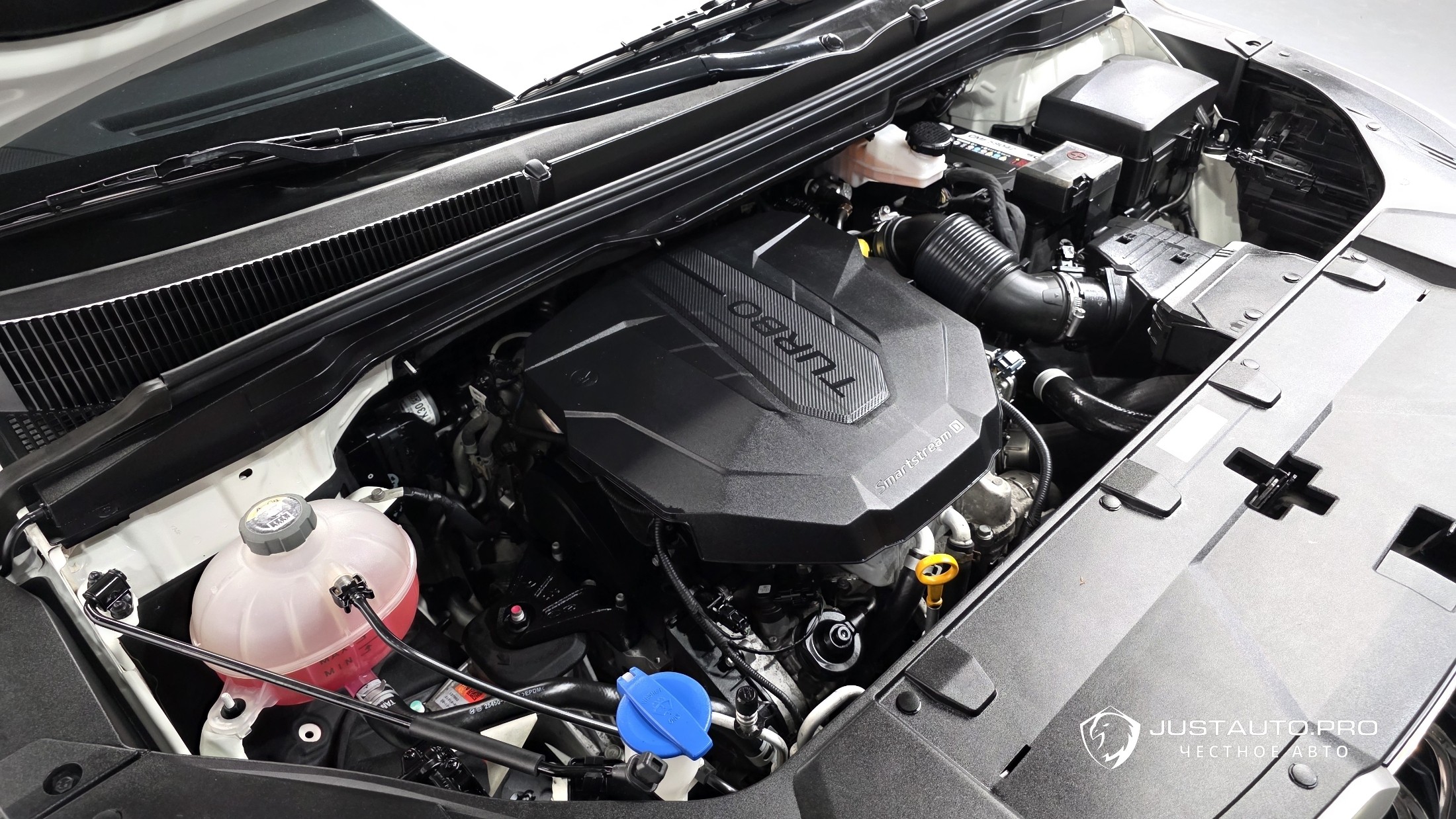 Фото 6
