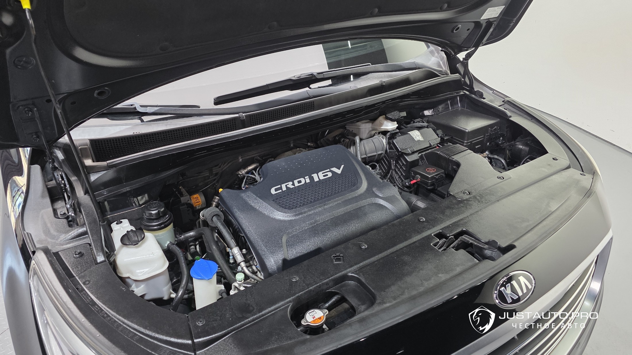 Фото 6