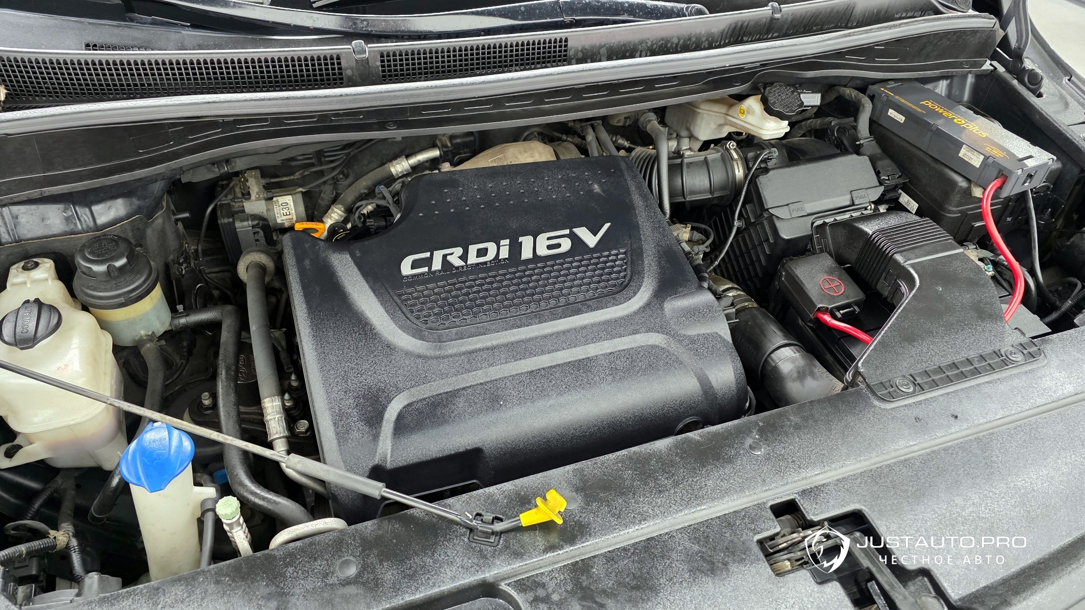 Фото 6