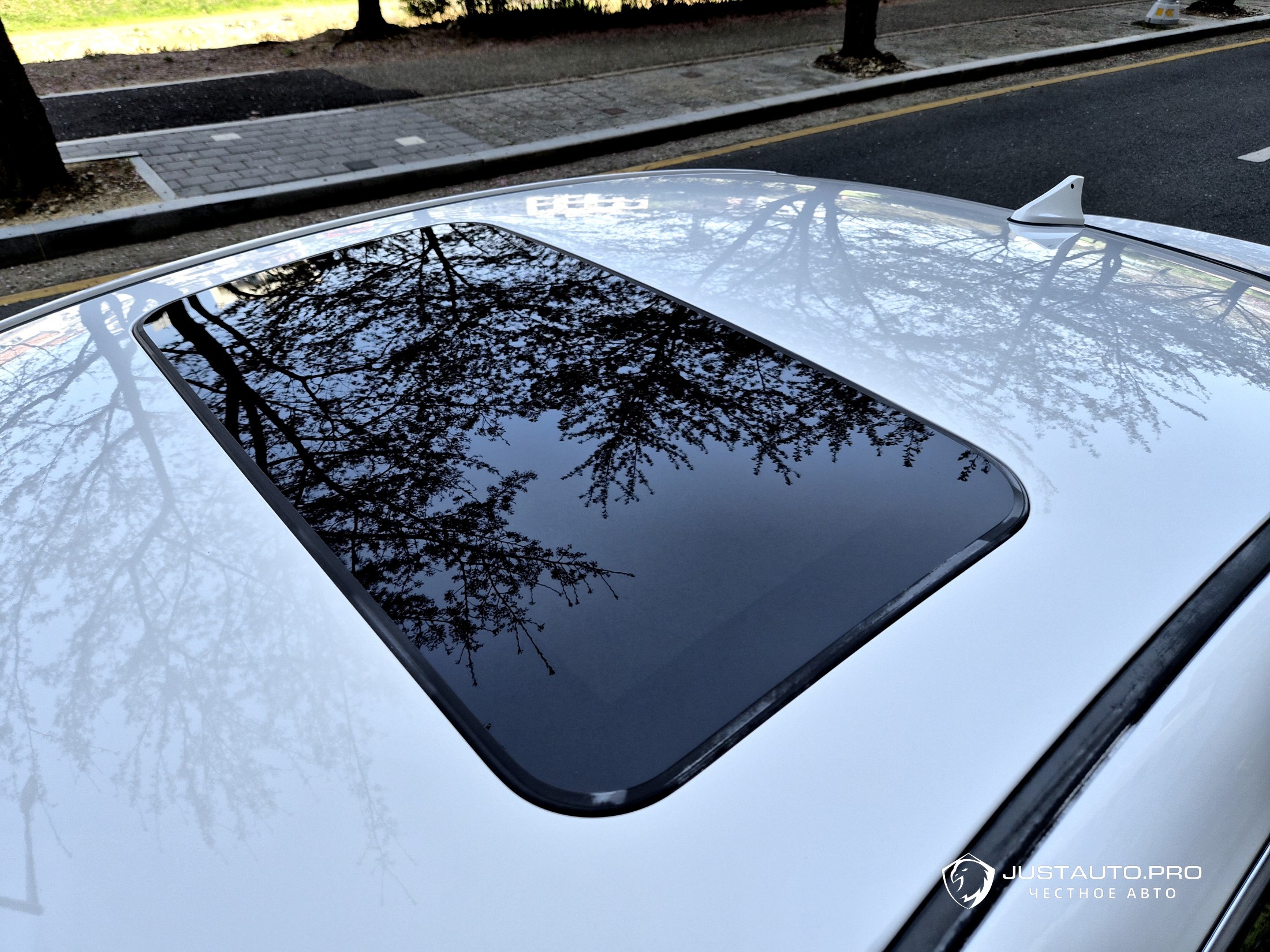 Фото 8
