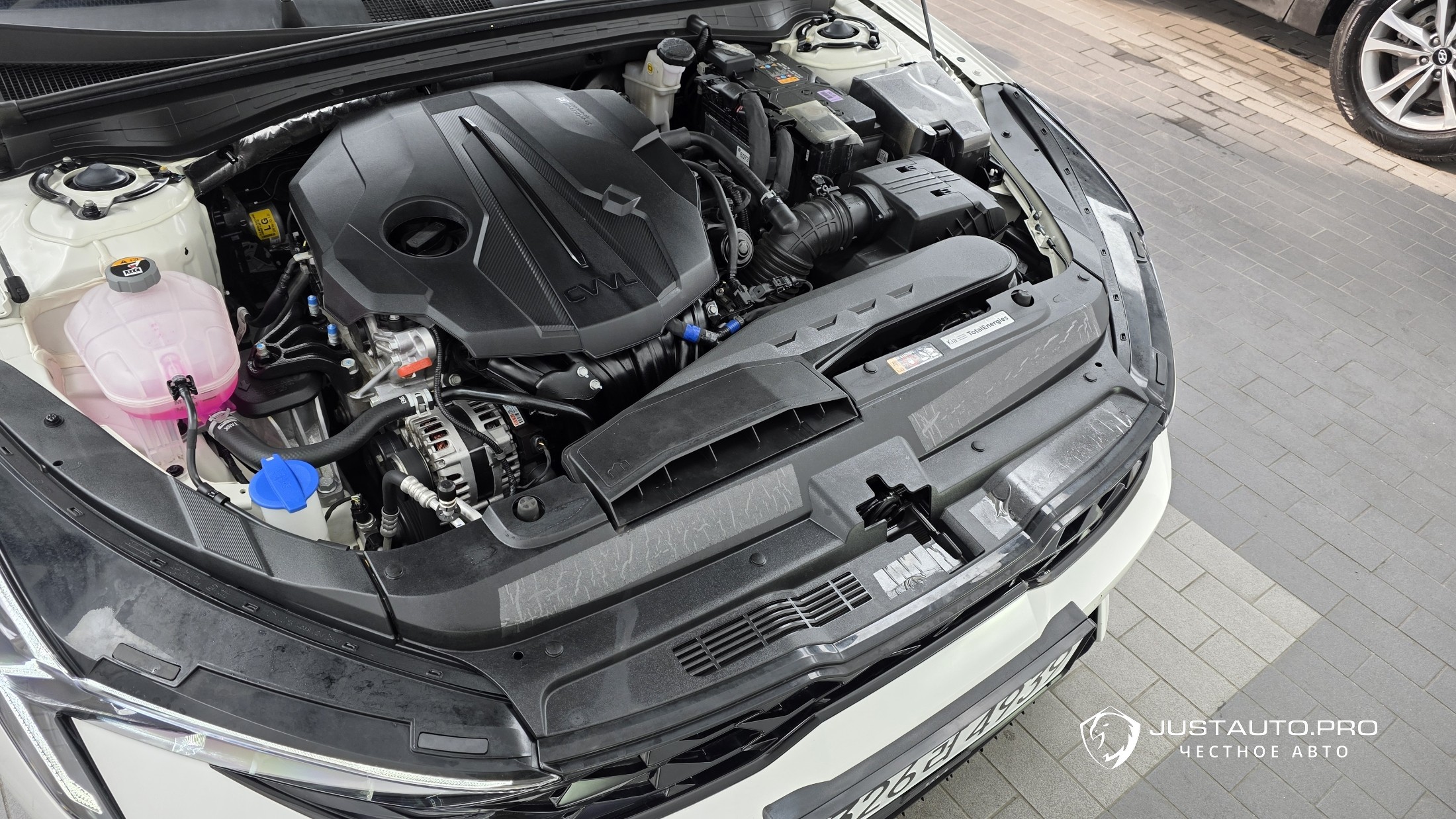 Фото 6