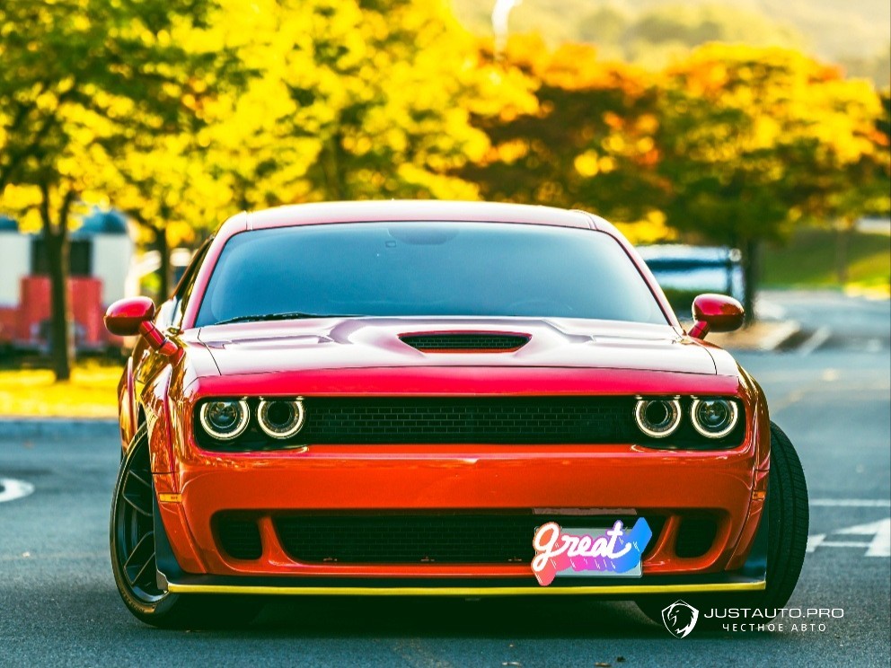 Фото 3