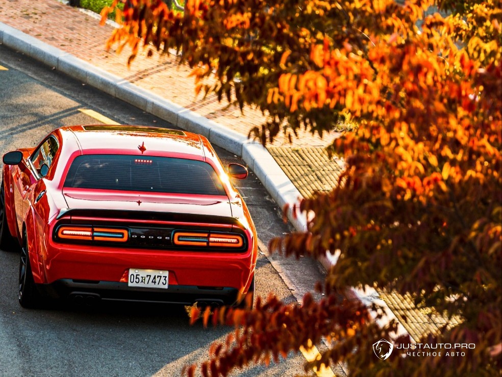 Фото 4