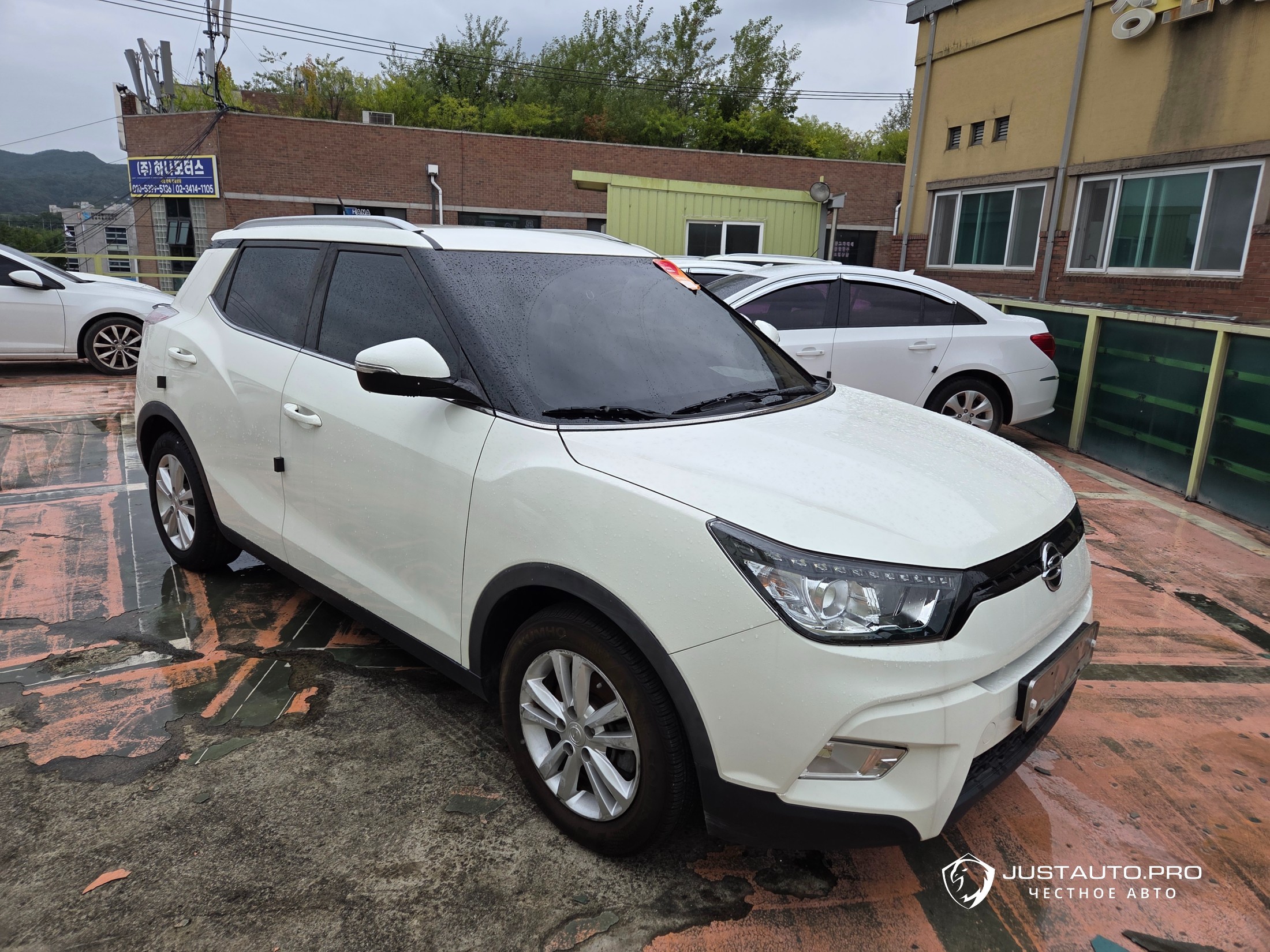 Автомобиль KG_Mobility_Ssangyong TIBOLI