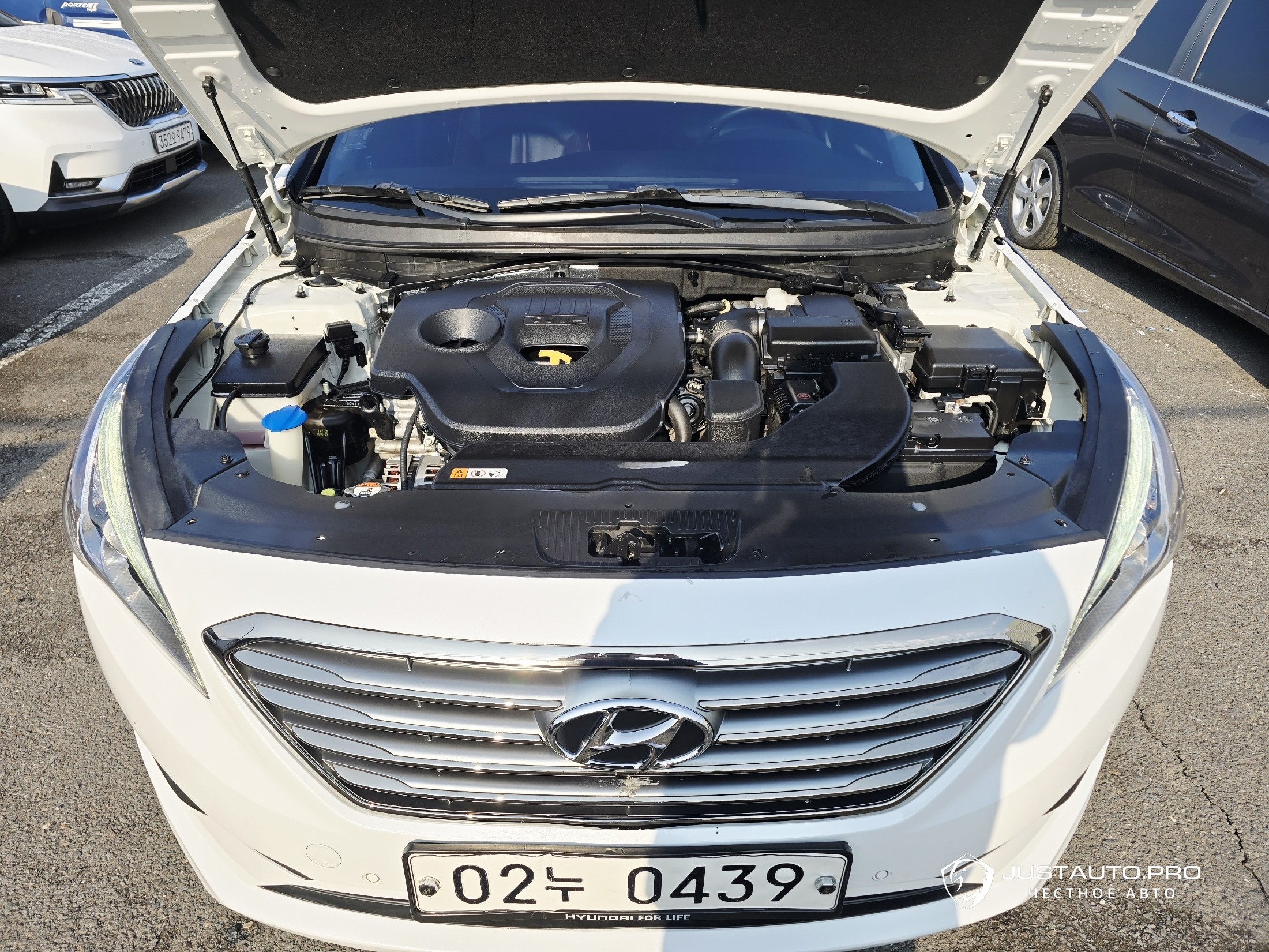 Фото 6