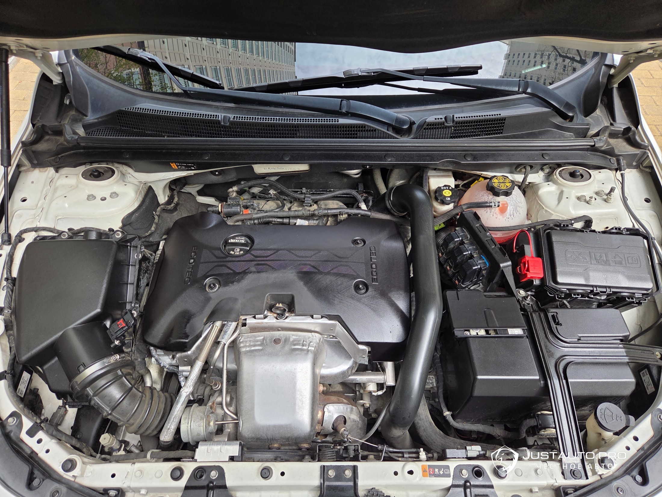 Фото 20