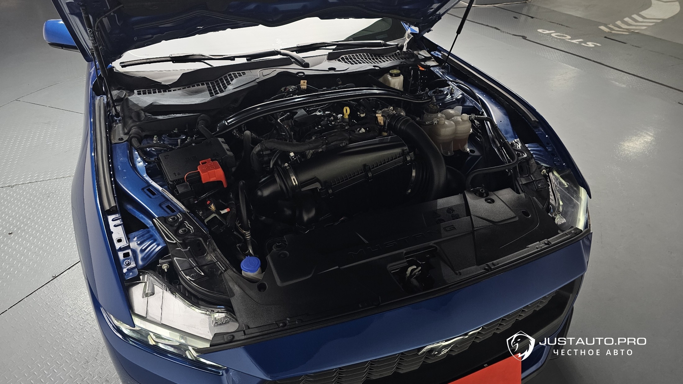 Фото 5