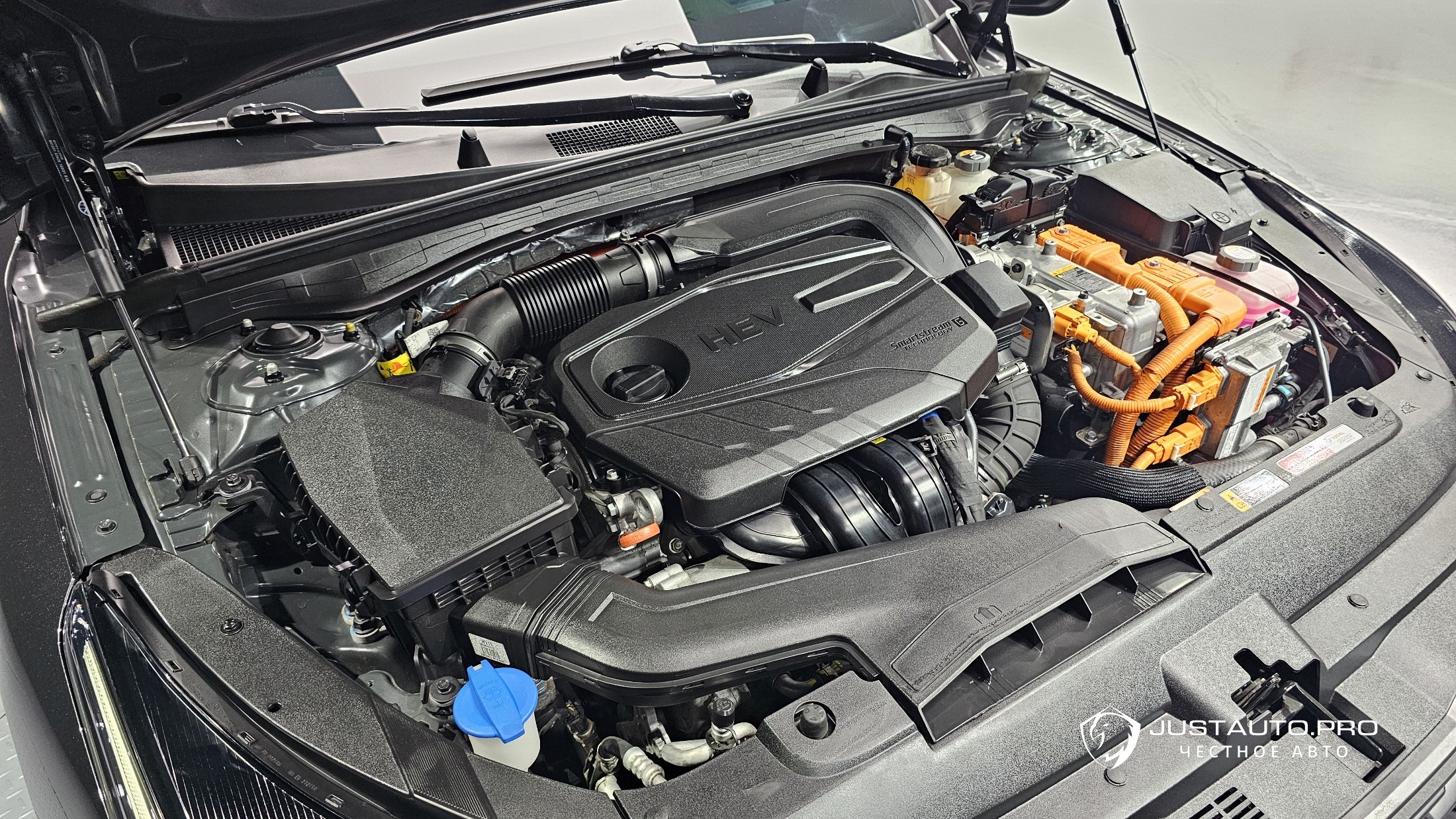 Фото 6