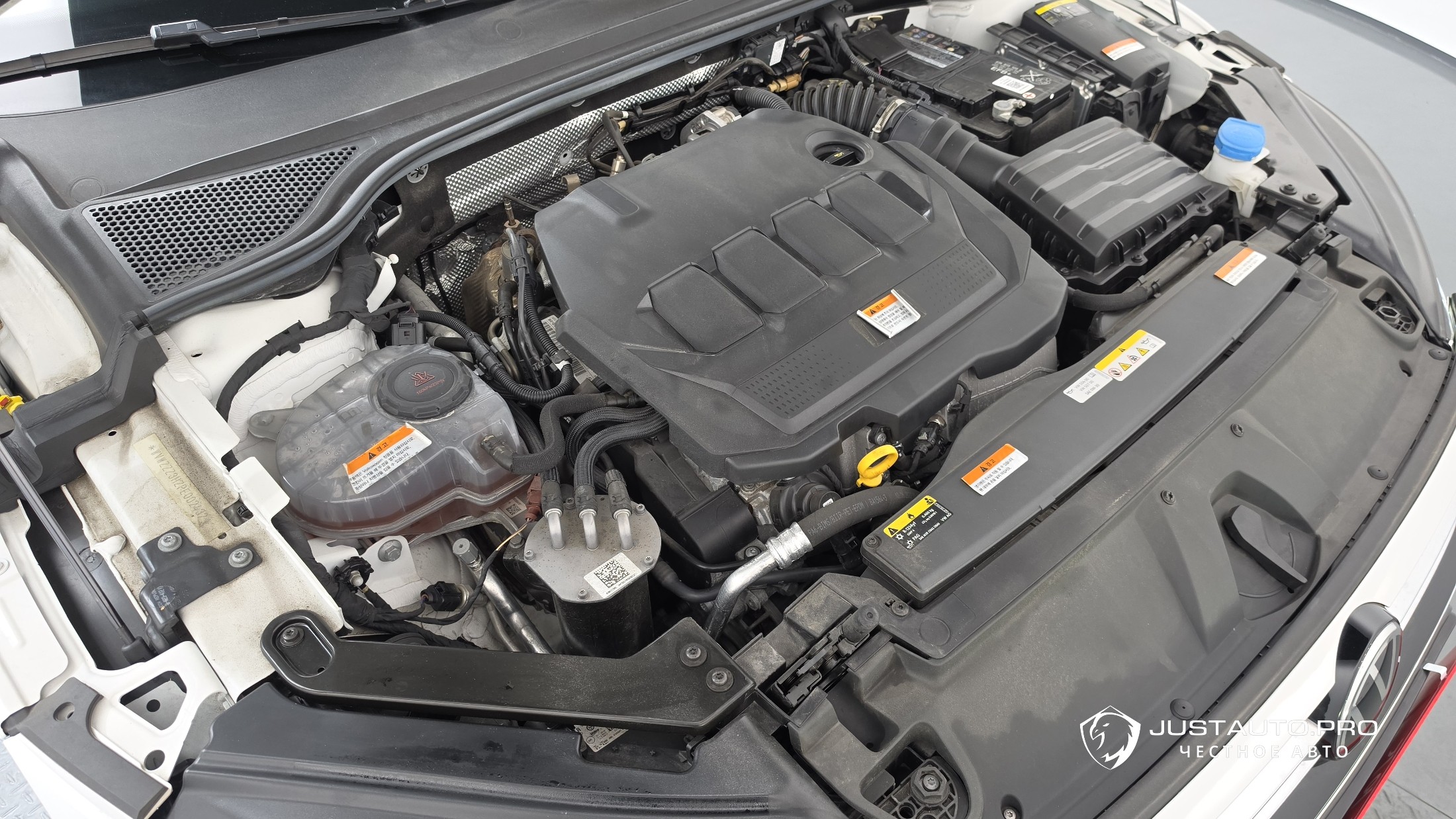 Фото 6