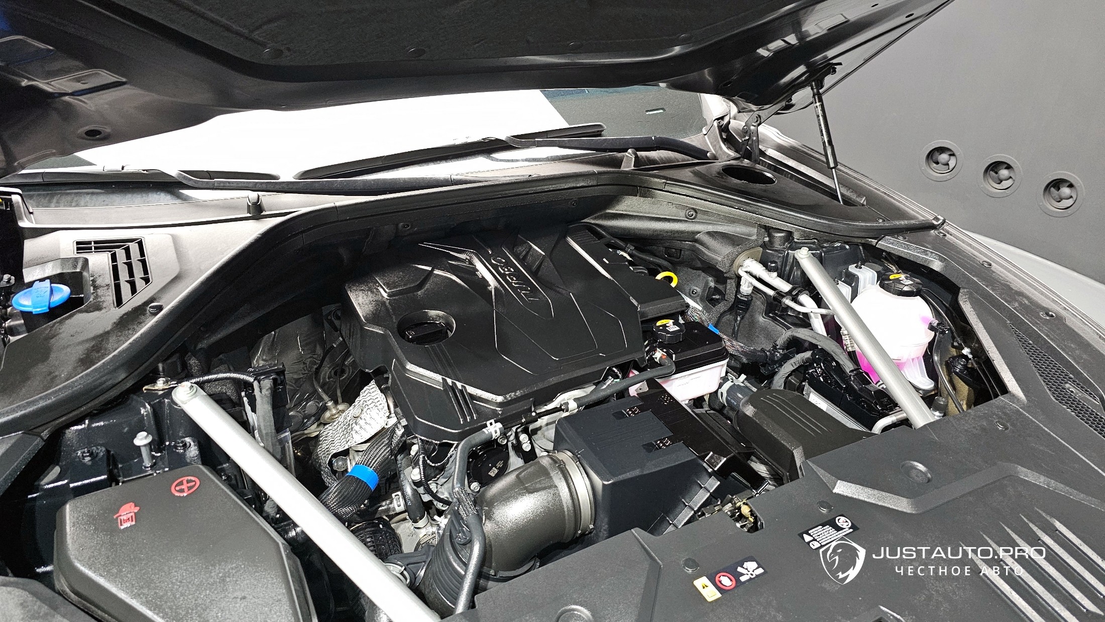 Фото 5
