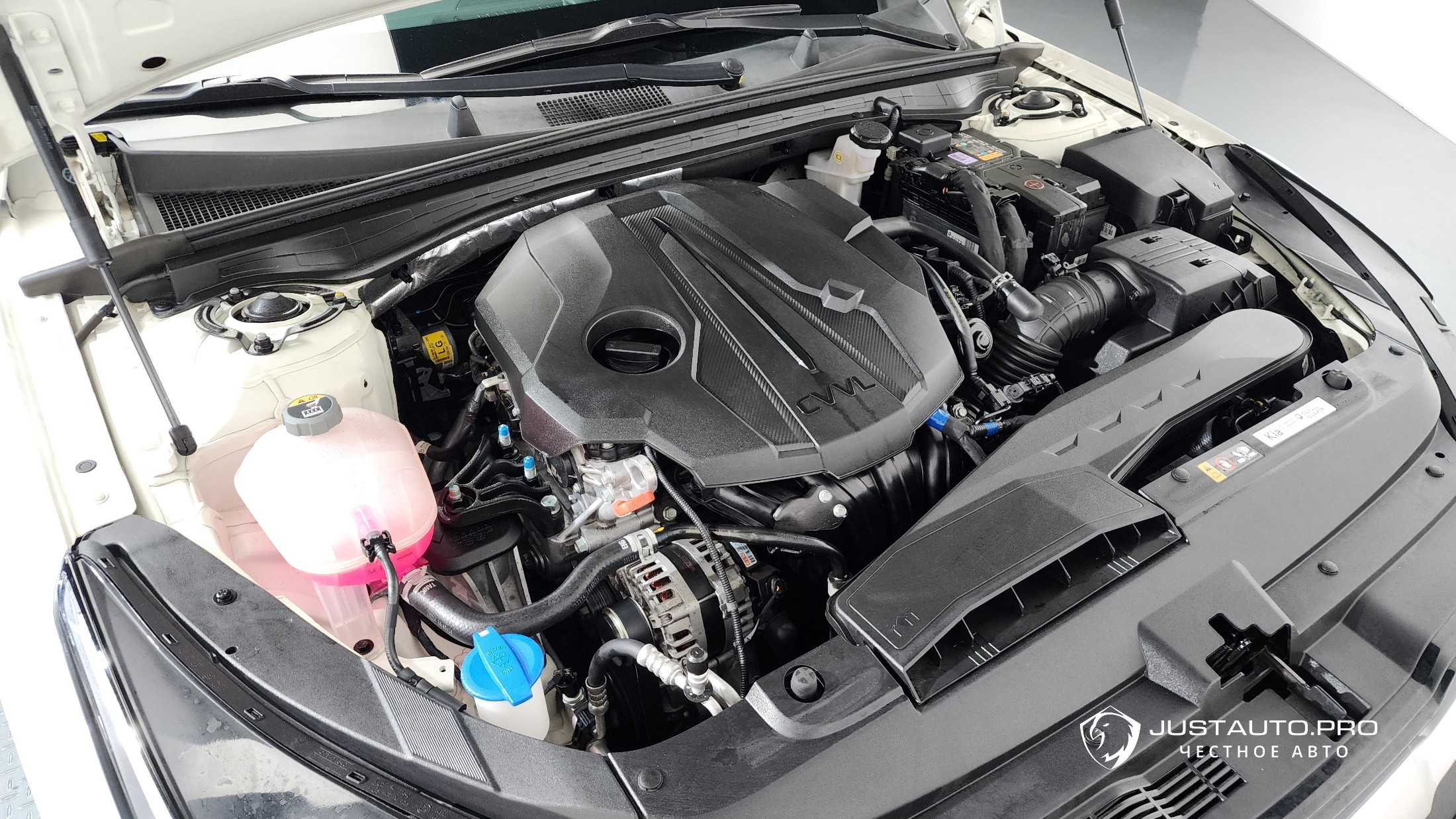 Фото 6