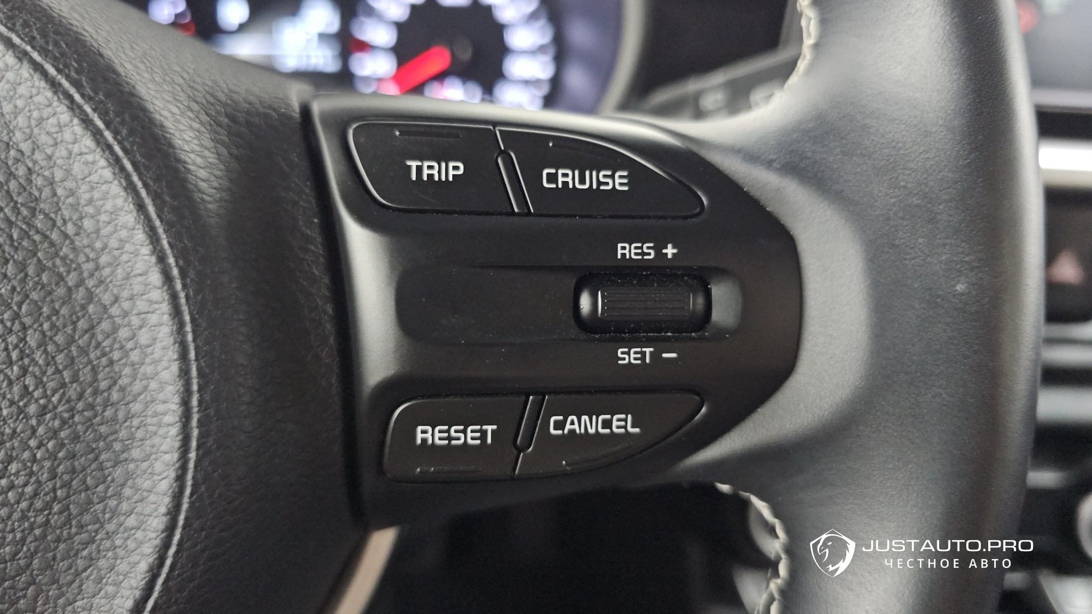 Фото 19
