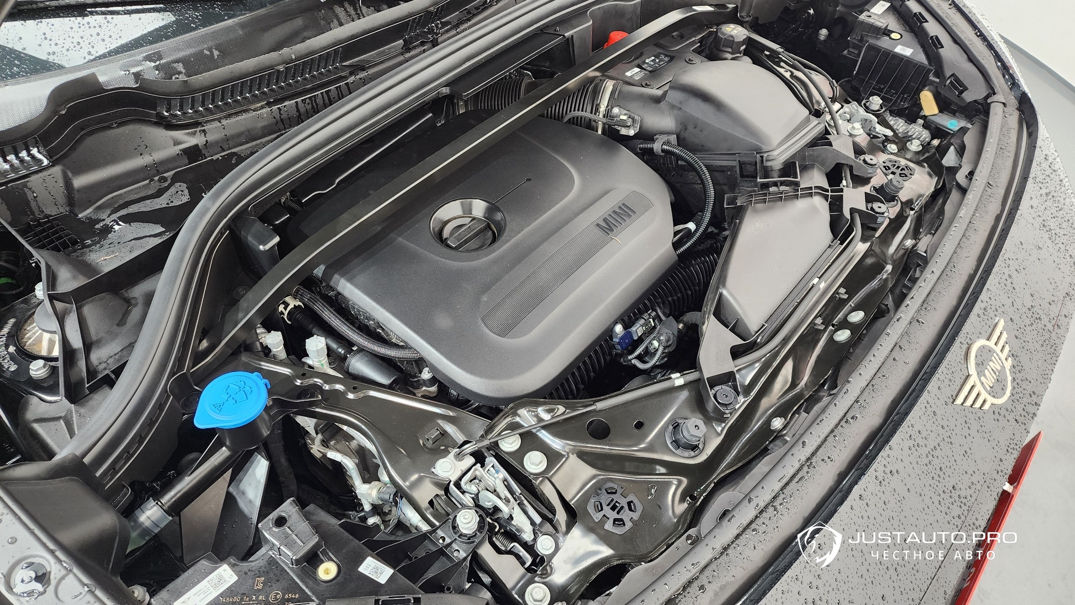 Фото 6