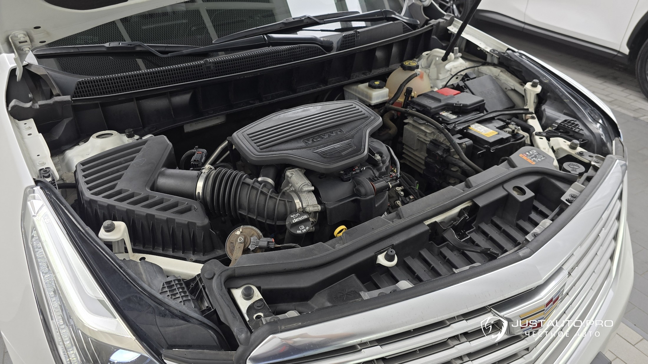 Фото 6