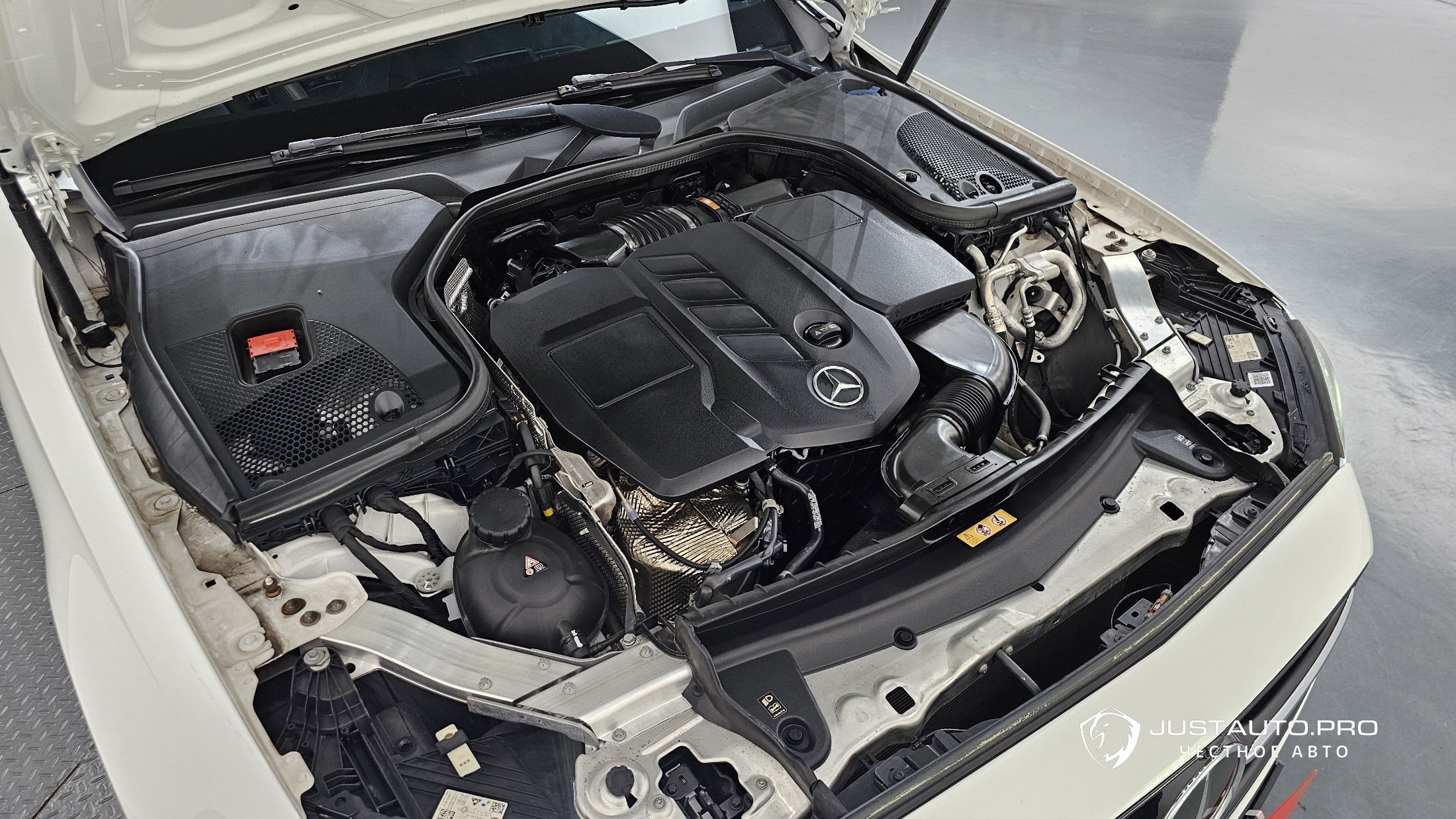 Фото 6