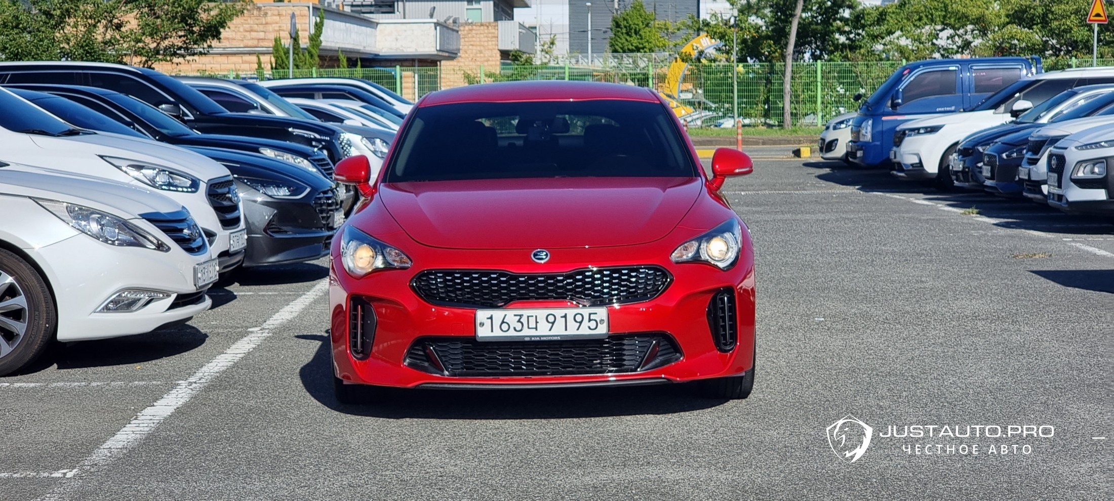Фото 3