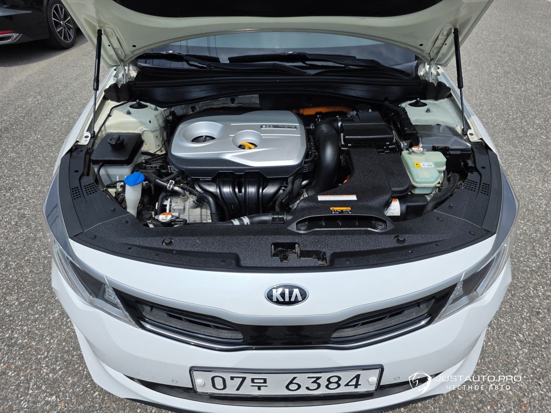 Фото 8