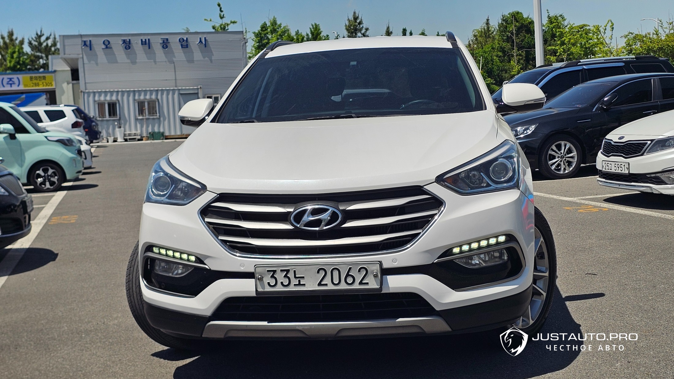 Фото 3